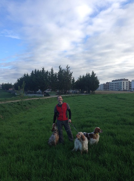 Cuidador con tres perros en el campo de la zona libre