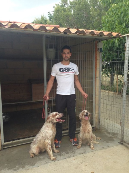 Javier con dos setters en la guardería