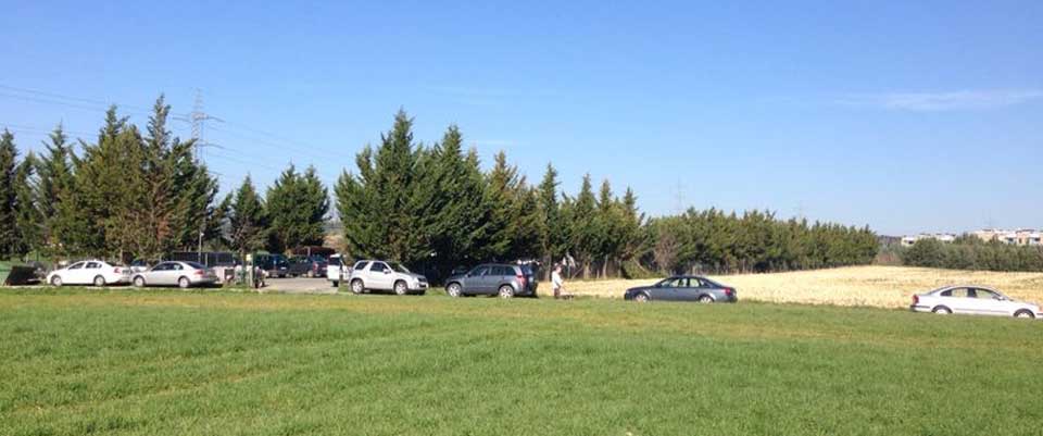 Campo verde de la zona libre para perros